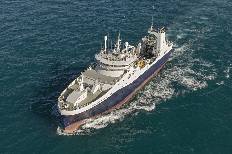 FF91823